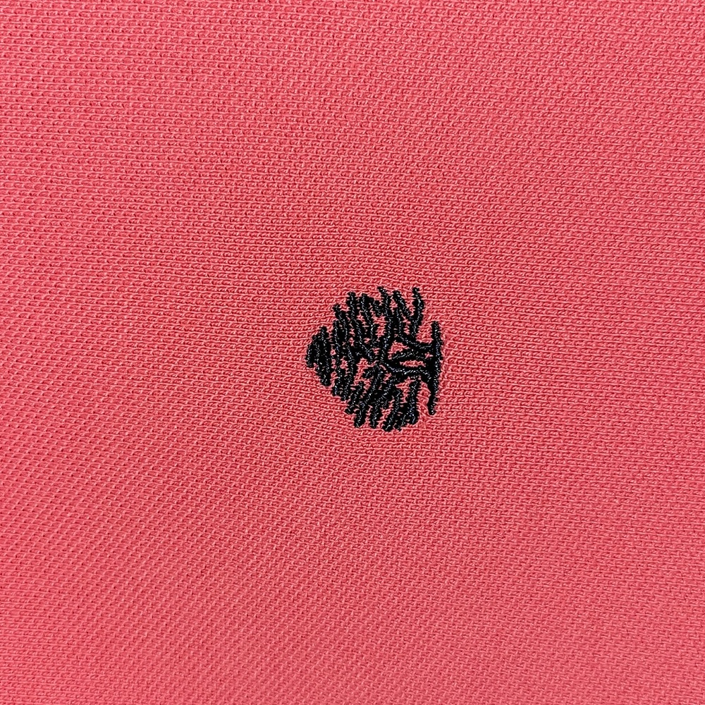 Polo - Picture 2 of 3